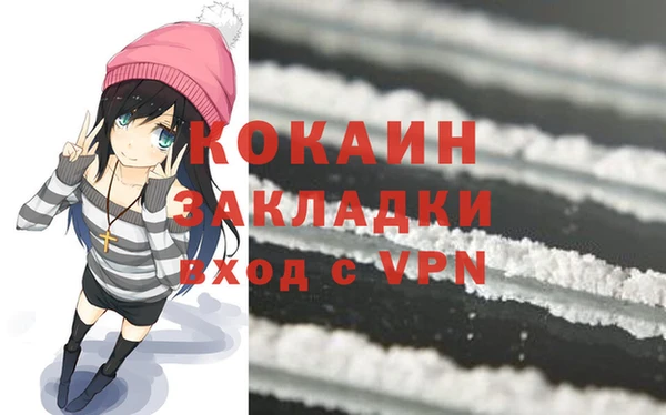 дживик Новозыбков