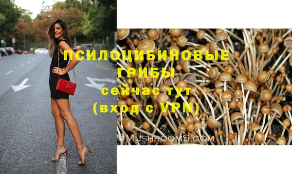дживик Новозыбков