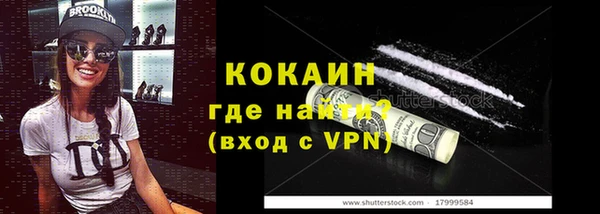 дживик Новозыбков