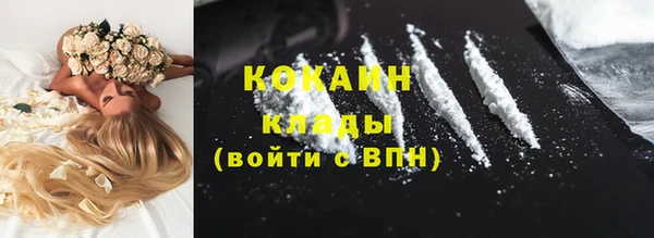 дживик Новозыбков