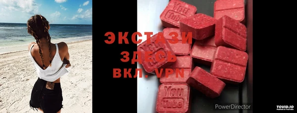 дживик Новозыбков