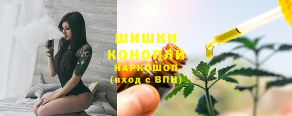 дживик Новозыбков