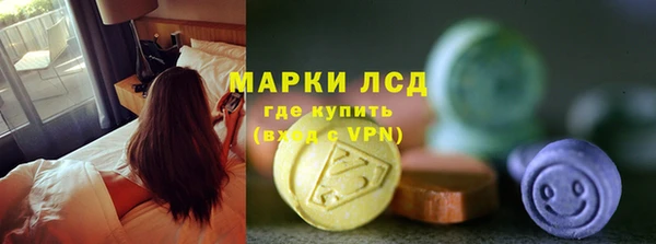 дживик Новозыбков