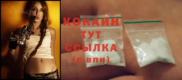 дживик Новозыбков