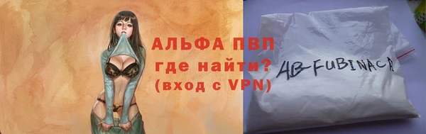 дживик Новозыбков