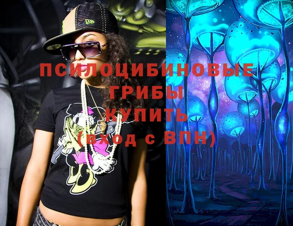 дживик Новозыбков