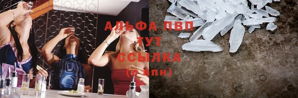 дживик Новозыбков